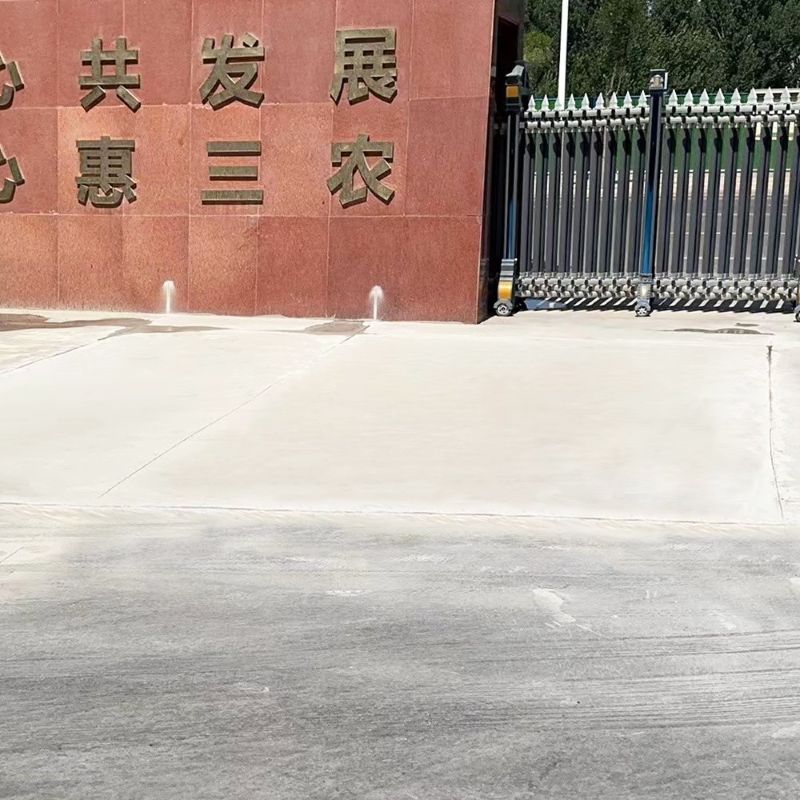 临海路面快速通车修补料